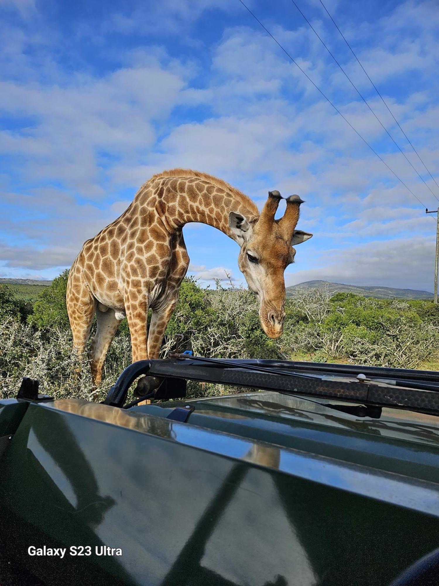 Valley Bushveld Country Lodge Addo Exterior foto