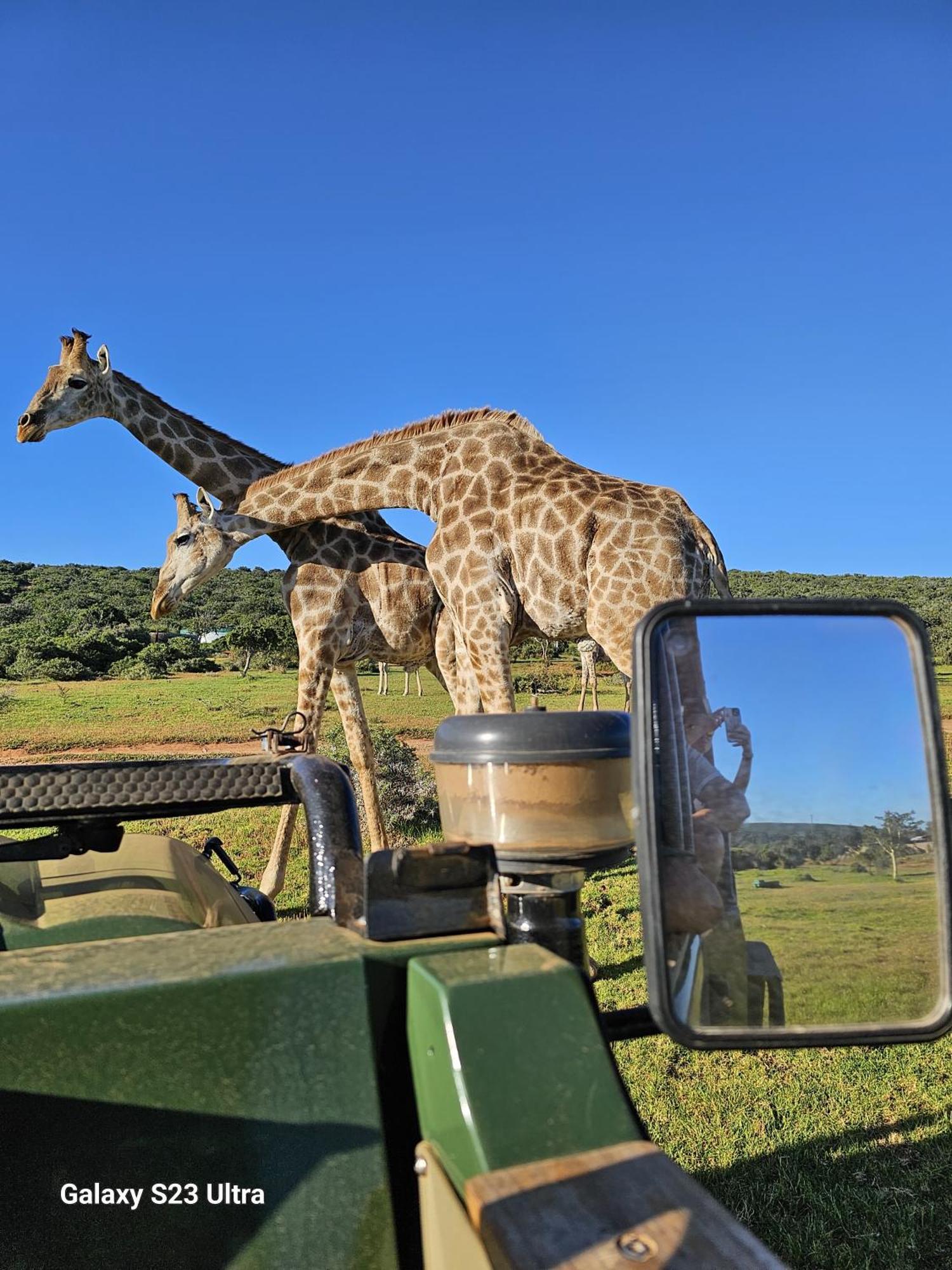 Valley Bushveld Country Lodge Addo Exterior foto